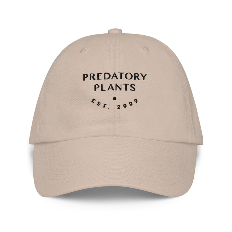 Classic dad hat