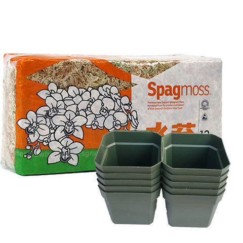 Repotting Kit - 150g Sphagnum Moss & 10 3" Pots