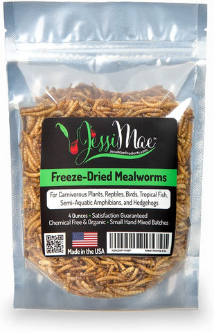 Freeze-dried meal worms