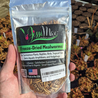 Freeze-dried meal worms